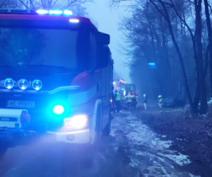 Zjechał z drogi, uderzył w drzewo. Ojciec i jego 5-letni syn w szpitalu