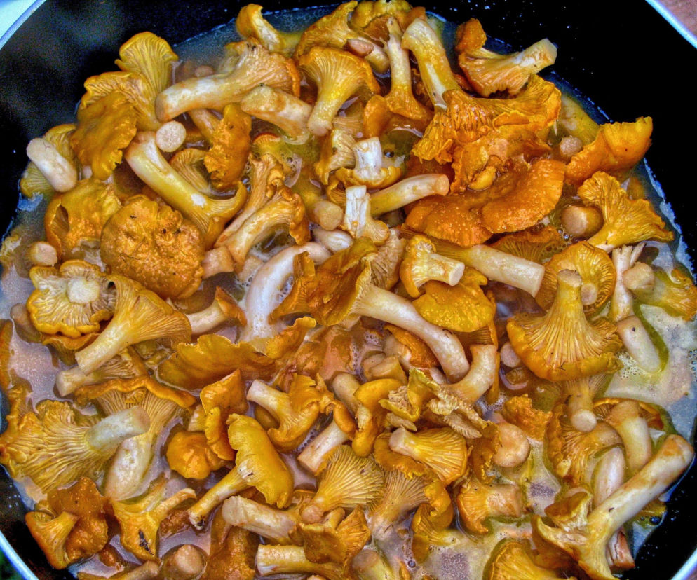 makaron-z-kurkami-jak-go-zrobic.jpg