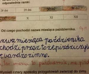Nauczyciel płakał ze śmiechu jak sprawdzał. Te odpowiedzi z klasówek to HIT! [GALERIA]