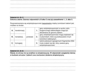 Matura 2022: biologia rozszerzona. Arkusze CKE, zadania, pytania. Poziom rozszerzony