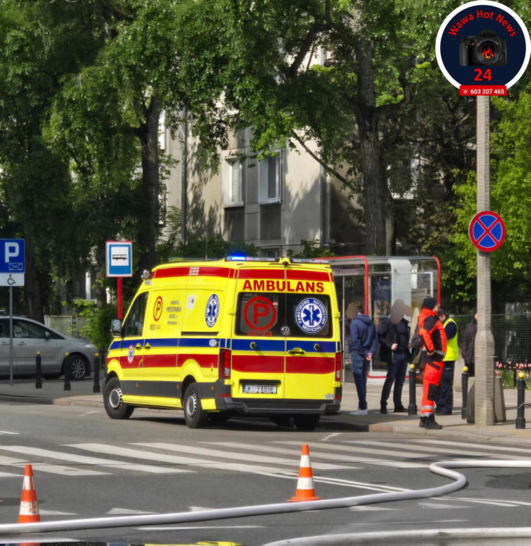 Autem elektrycznym huknął w słup, pojazdstanął w ogniu
