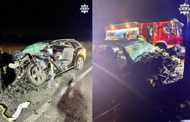 Potworny wypadek! Audi uderzyło w drzewo, nie żyje 38-latek