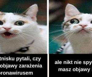 Kronawirus - MEMY, niektórzy żartują z choroby