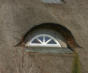 Małe wolo oko oprawione w przyciętą trzcinę strzechy