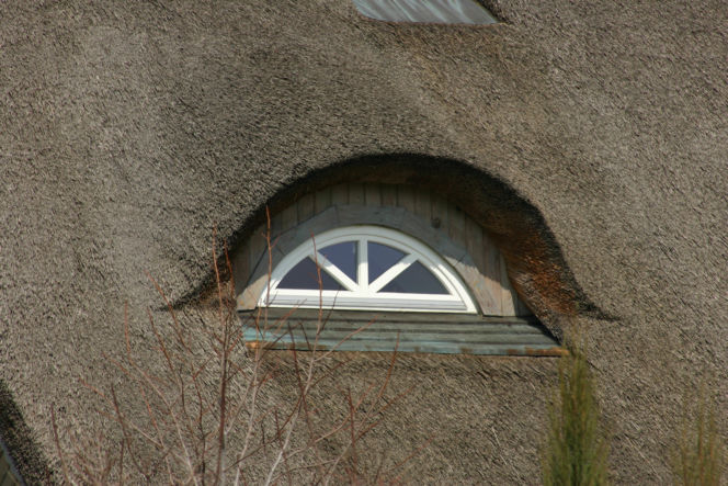 Małe wolo oko oprawione w przyciętą trzcinę strzechy