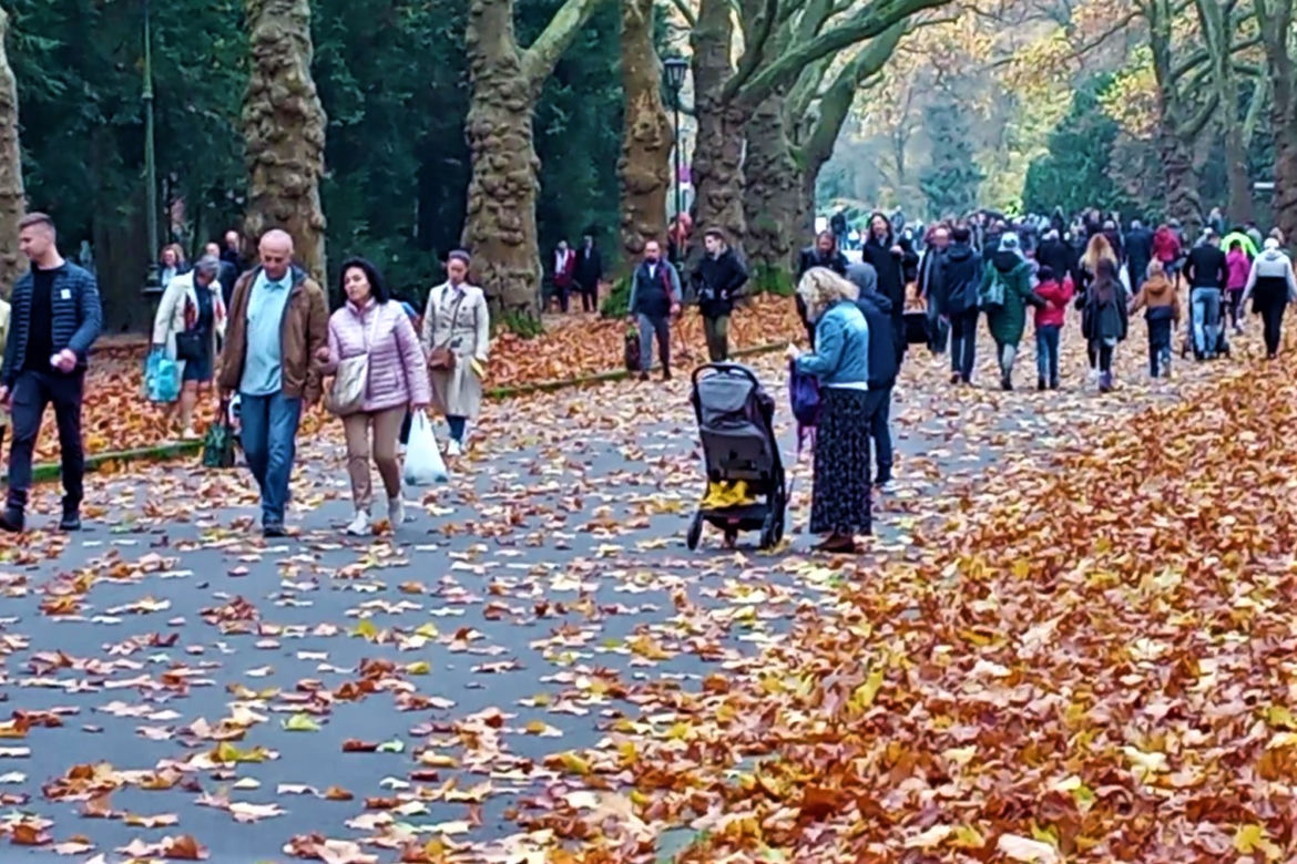 Dzień Wszystkich Świętych na Cmentarzu Centralnym w Szczecinie