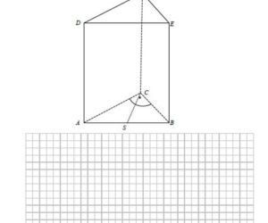 Matura próbna 2020 matematyka