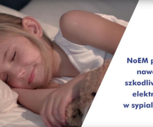Nowości z rynku