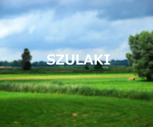Szulaki