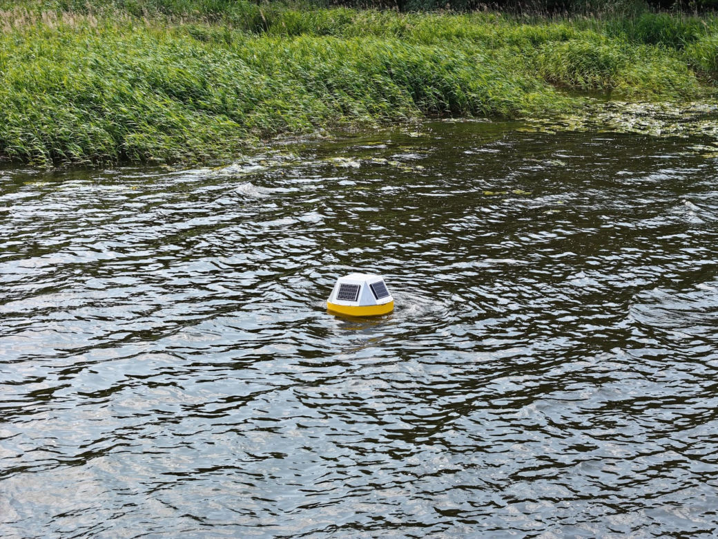 Specjalne boje na jeziorze Dąbie