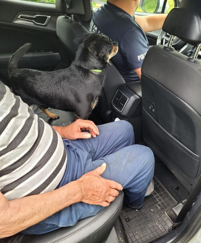 Pies na medal! Pan Ryszard czekał na ratunek w lesie, a Maksio wrócił z policją!