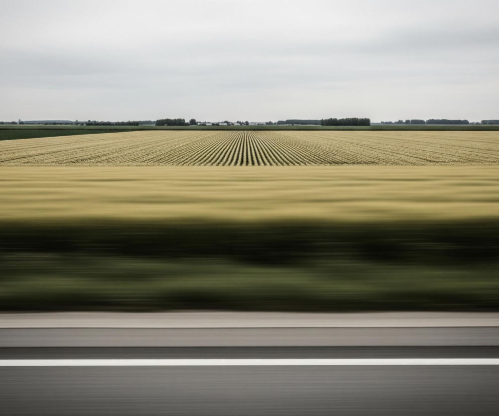 Rozległe pola rozciągają się pod pochmurnym, szarym niebem, z rzędami młodych upraw o zielono-żółtym zabarwieniu dominującymi w centralnej części kadru. Horyzont wyznacza ciemnozielony pas lasu i zabudowań, a za nim widać jaśniejsze niebo. Dolna część obrazu, stanowiąca około jednej trzeciej kadru, jest zamazana horyzontalnie, tworząc pasy szarości i rozmytego, ciemnozielonego koloru, co sugeruje ruch.
