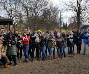 Spacer z mopsami