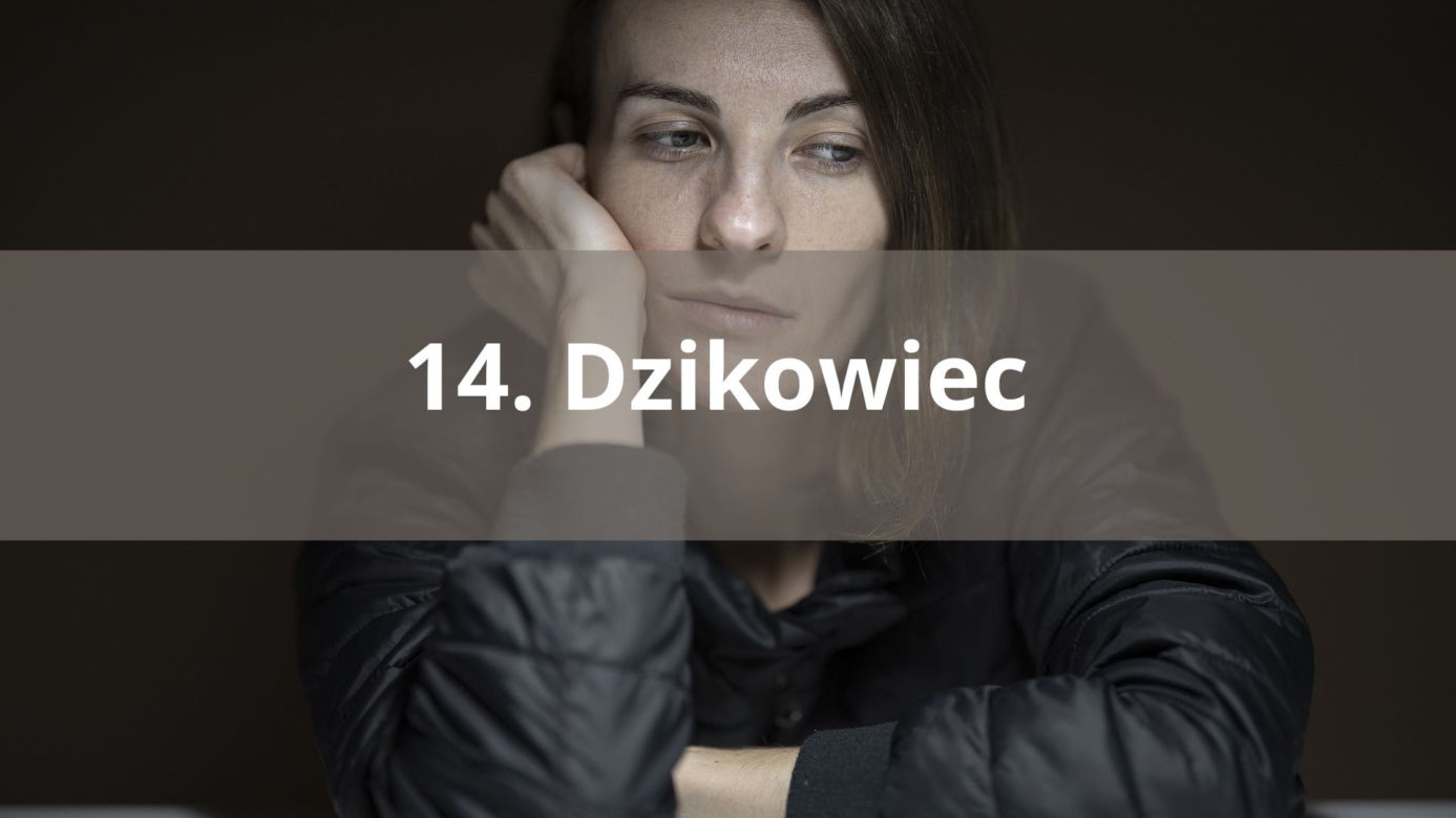 14. Dzikowiec  