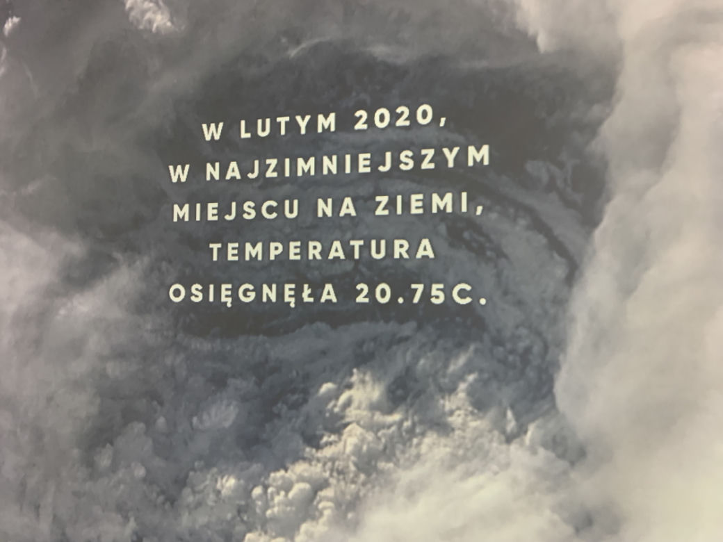 Niezwykła wystawa ekologiczna w Norblinie. Posadzą las w zamian za jej ślad węglowy