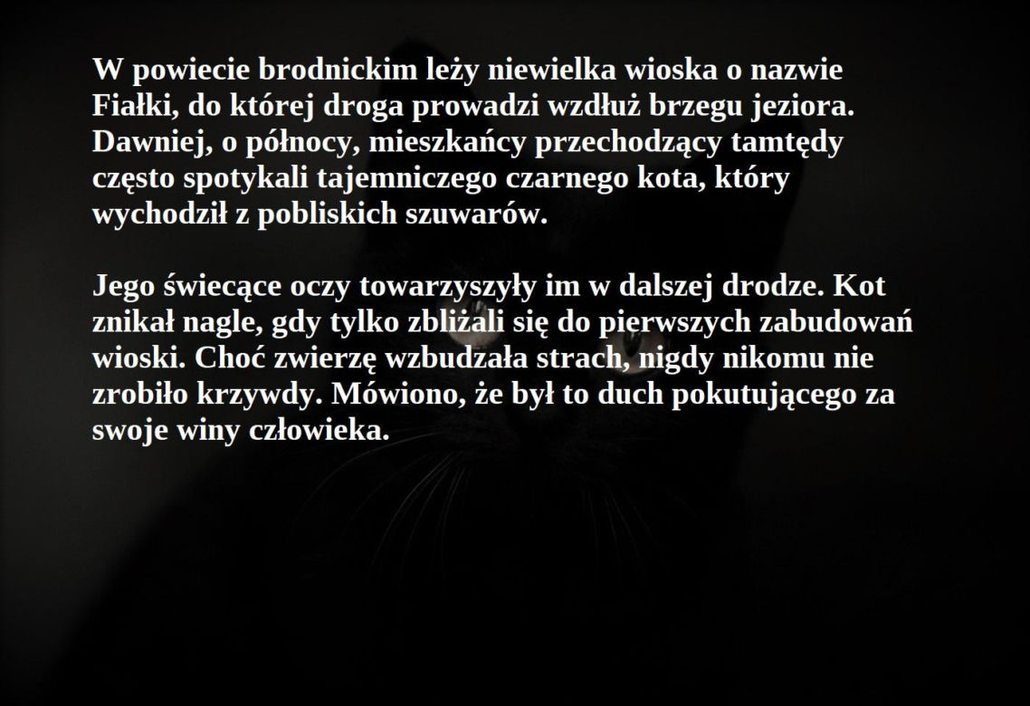 Czarny kot we wsi Fiałki