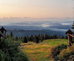 Najpiękniejszy wiosenny szlak w województwie śląskim. Widoki zapierają dech