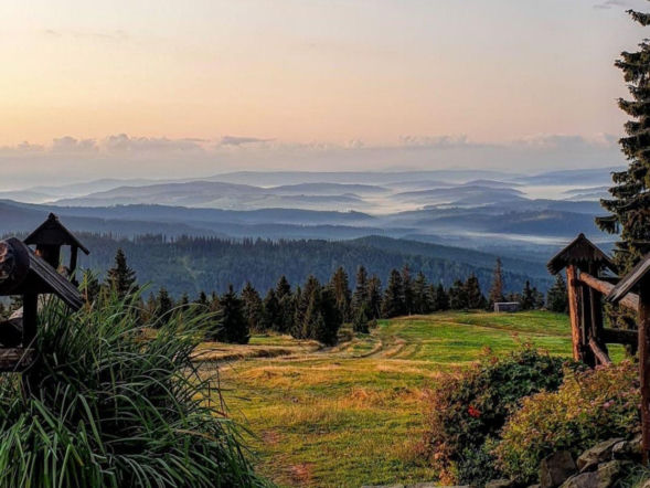 To najpiękniejszy wiosenny szlak w Śląskiem