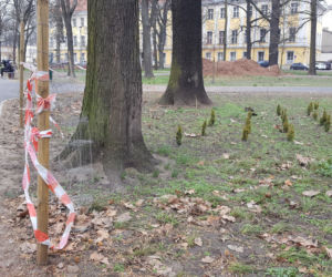 W parku na Pl. Kościuszki przygotowania do nowego sezonu