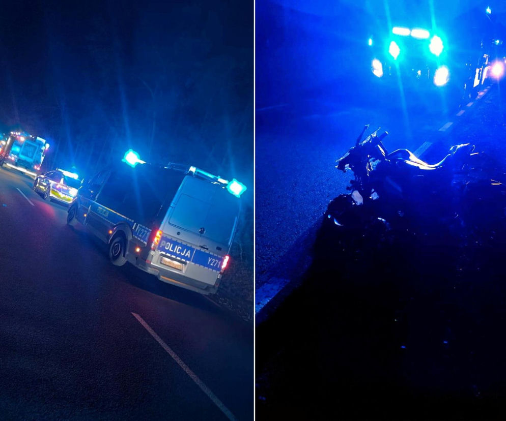 Motocyklistka uderzyła w łosia. Tragiczne wieści ze szpitala