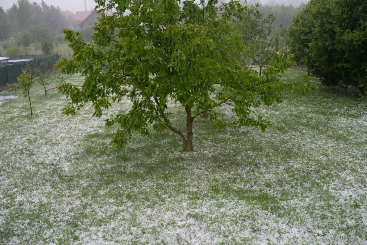 Burze i gradobicie w Polsce