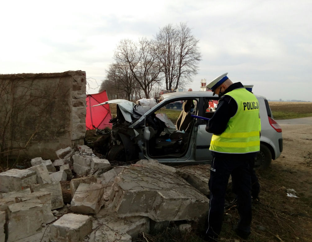 Tragedia na drodze pod Śremem! Dwaj młodzi bracia ZGINĘLI na miejscu [ZDJĘCIA]
