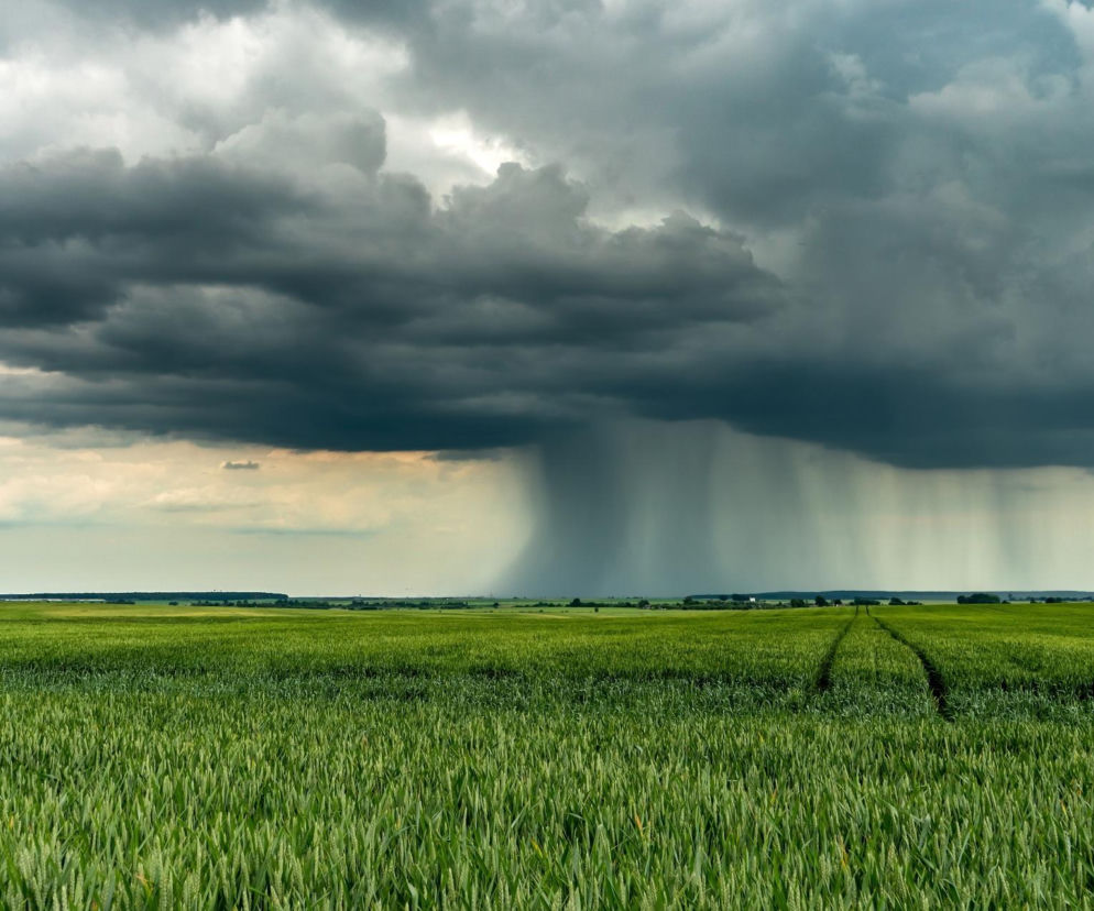 Burza z deszczem w prognozie pogody