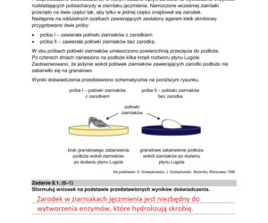 Matura 2022: biologia rozszerzona. Arkusze CKE, zadania, pytania. Poziom rozszerzony