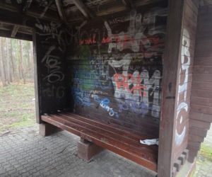 Przebudowa pętli Las Gdański ruszy w 2026 roku. Wycięto ponad 330 drzew!