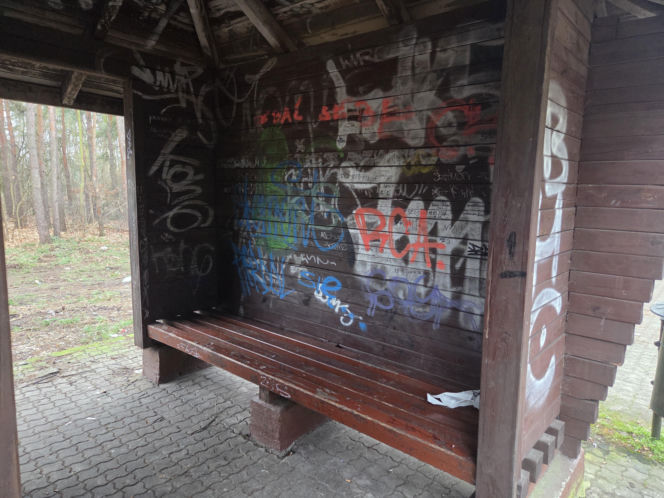 Przebudowa pętli Las Gdański ruszy w 2026 roku. Wycięto ponad 330 drzew!