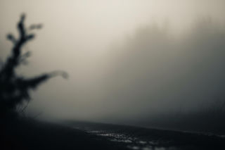 Fatalne polowanie na Pomorzu. Kto pociągnął za spust?