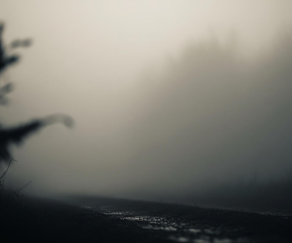 Lewa strona zdjęcia przedstawia rozmazany, ciemny kształt krzewu lub gałęzi, z niewyraźnymi elementami przypominającymi igły lub liście. U dołu obrazu widoczna jest mokra, ciemna nawierzchnia, prawdopodobnie droga lub ścieżka, z odbiciami światła na kałużach. Całe tło zdominowane jest przez gęstą mgłę w odcieniach szarości i beżu, która przesłania dalsze obiekty i tworzy wrażenie tajemniczości. Po prawej stronie widać również zamazane kontury drzew lub krzewów znikających w mgle.