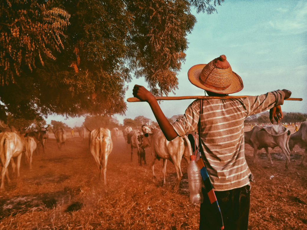 Niger