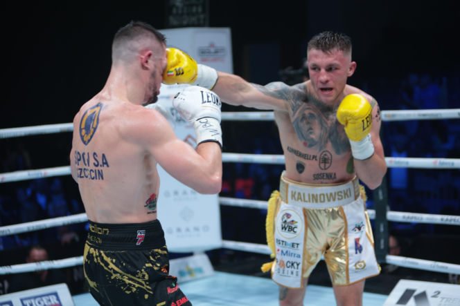 Kalinowski - Stępień