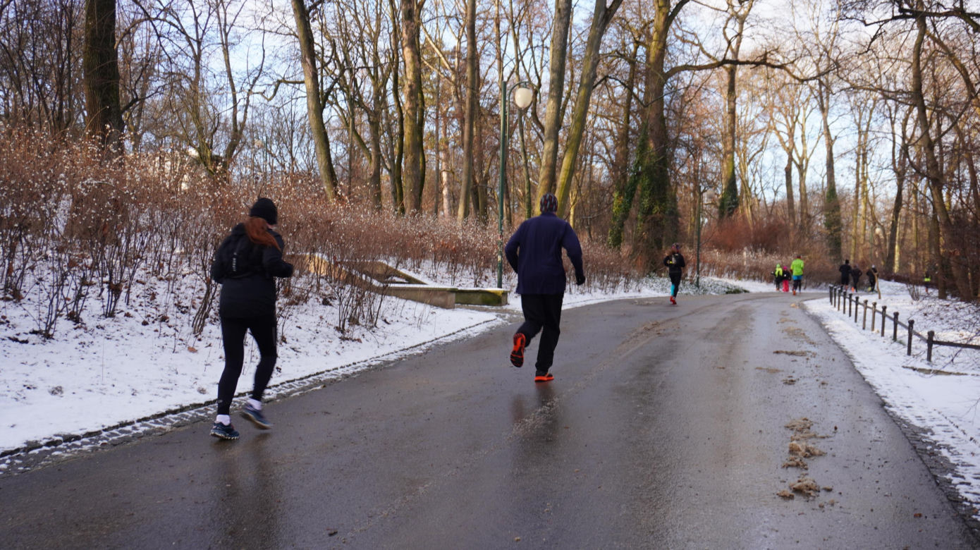 Parkrun w stolicy woj. lubelskiego. Pierwsza sobota 2025 roku na sportowo w Ogrodzie Saskim w Lublinie. Zdjęcia