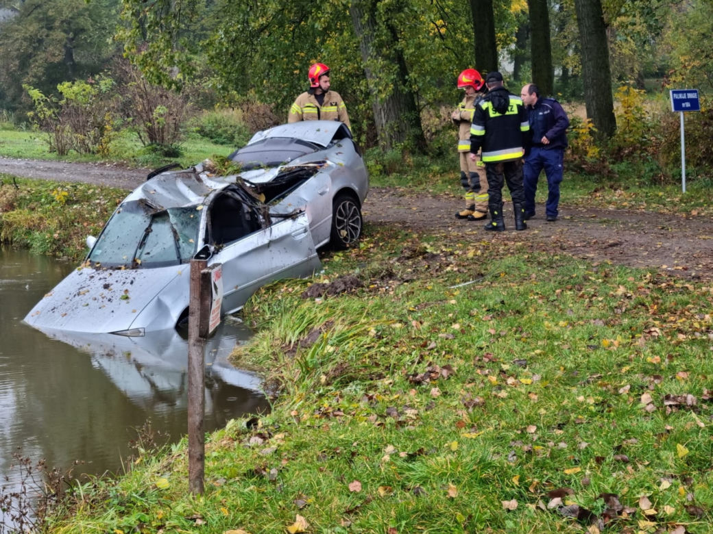 Przez lisa wpadł autem do staw
