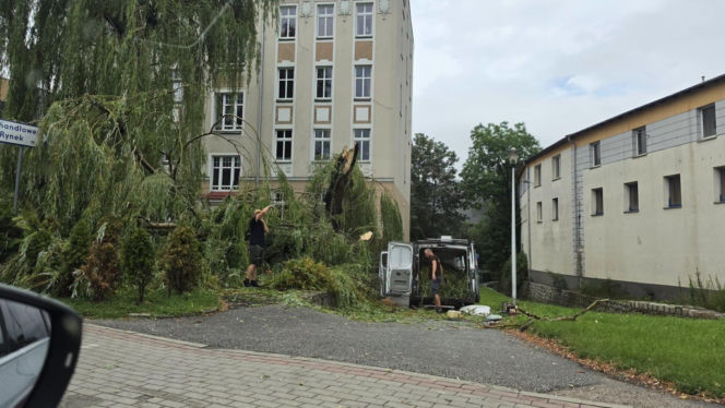 Burze spustoszyły Dolny Śląsk. Setki interwencji strażaków i ewakuacja obozów harcerskich