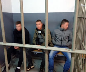 Pseudokibice ze Świętochłowic
