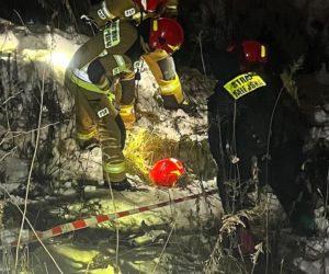 Myśleli, że to dzik. Maleńka sarenka została uratowana z niebezpiecznej pułapki