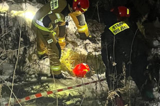 Myśleli, że to dzik. Maleńka sarenka została uratowana z niebezpiecznej pułapki