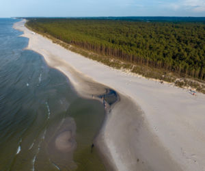 Plaża w Dębkach