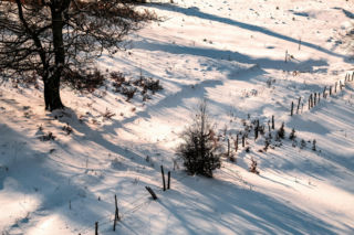 77-latek znaleziony niedaleko wysypiska śmieci w Lublinie. Senior zmarł z wychłodzenia