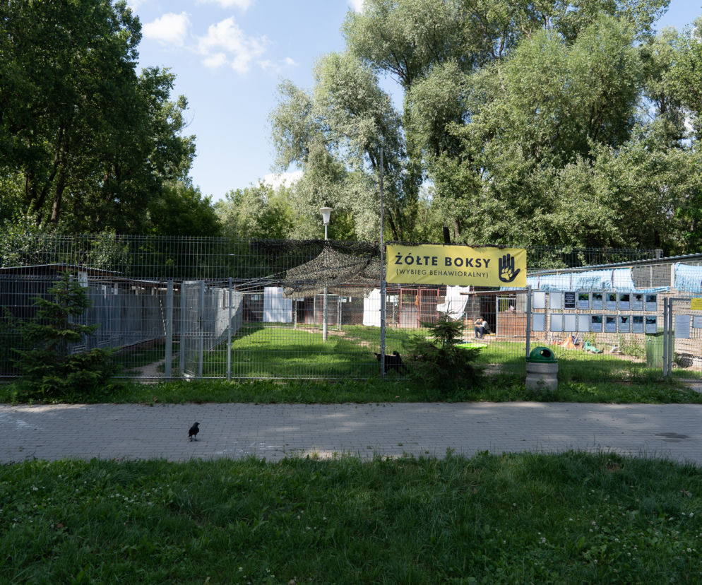 Psia infrastruktura