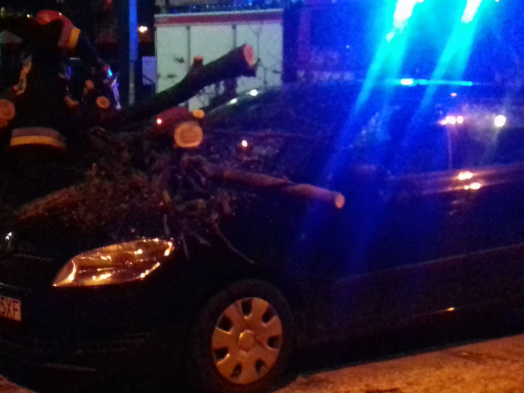Orkan Ksawery nad Małopolską: Powalone drzewa, utrudnienia w ruchu [ZDJĘCIA, WIDEO]