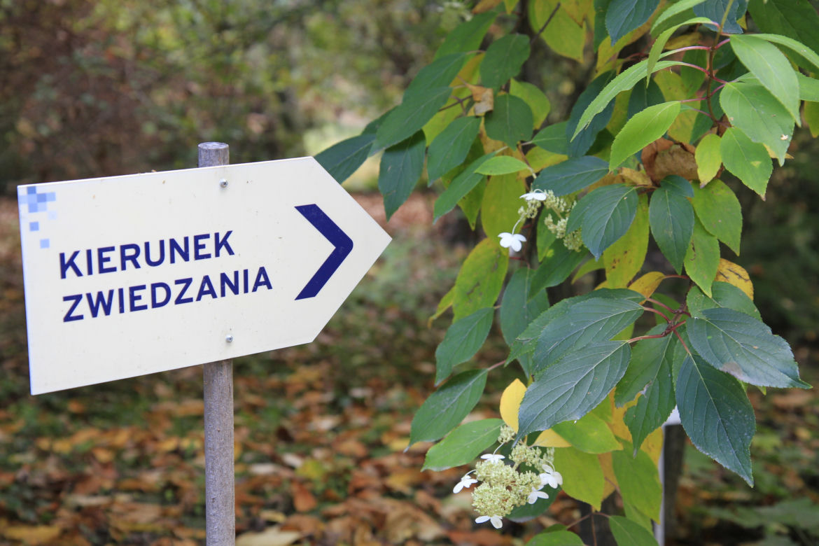 Spacer po jesiennych Ogrodzie Botanicznym w Lublinie