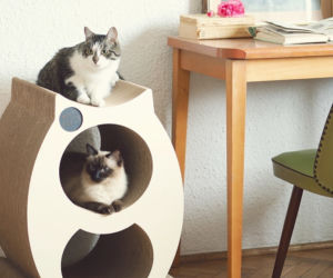Design dla zwierząt 