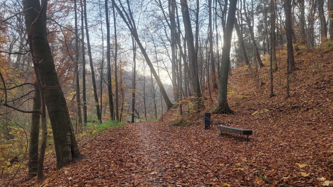   Łynostrada zachwyca o tej porze roku. Zobacz, jak prezentuje się jesienią [ZDJĘCIA]