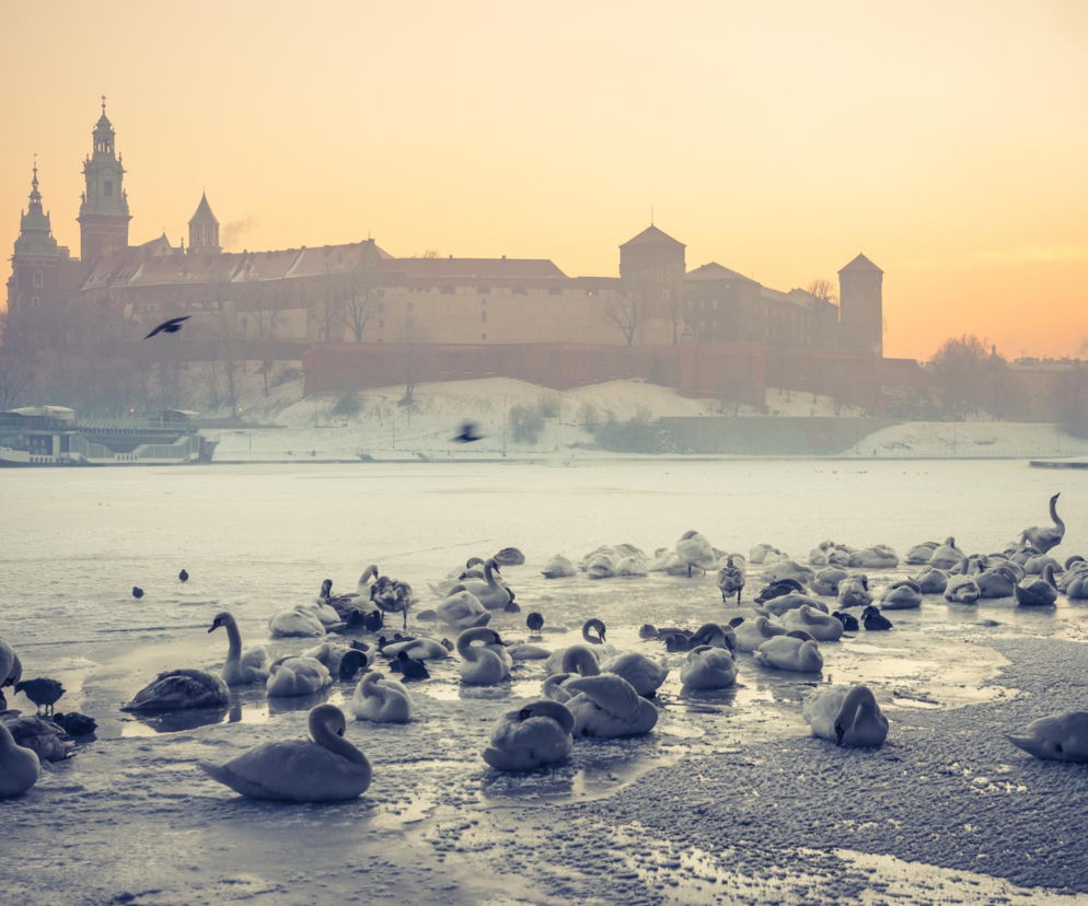 Mrozy wracają do Polski. Termometry pokażą nawet minus 6 stopni