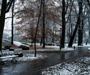 Skawiński park w zimowej otoczce