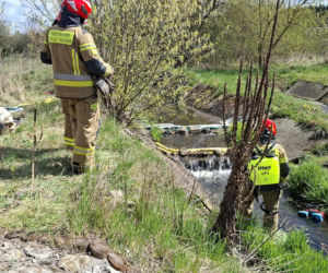 Nieznana substancja w rzece Kamiennej